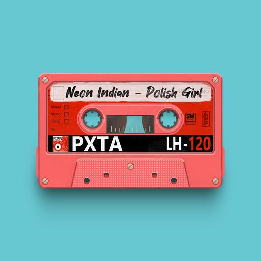 05491 - Neon Indian - Polish Girl